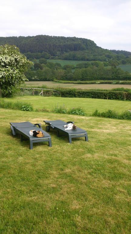 Bed and Breakfast Upper Letton Farm Leintwardine Exteriér fotografie