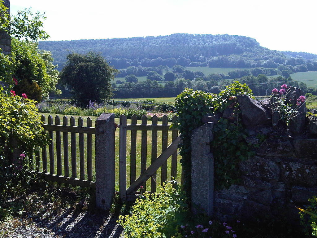 Bed and Breakfast Upper Letton Farm Leintwardine Exteriér fotografie
