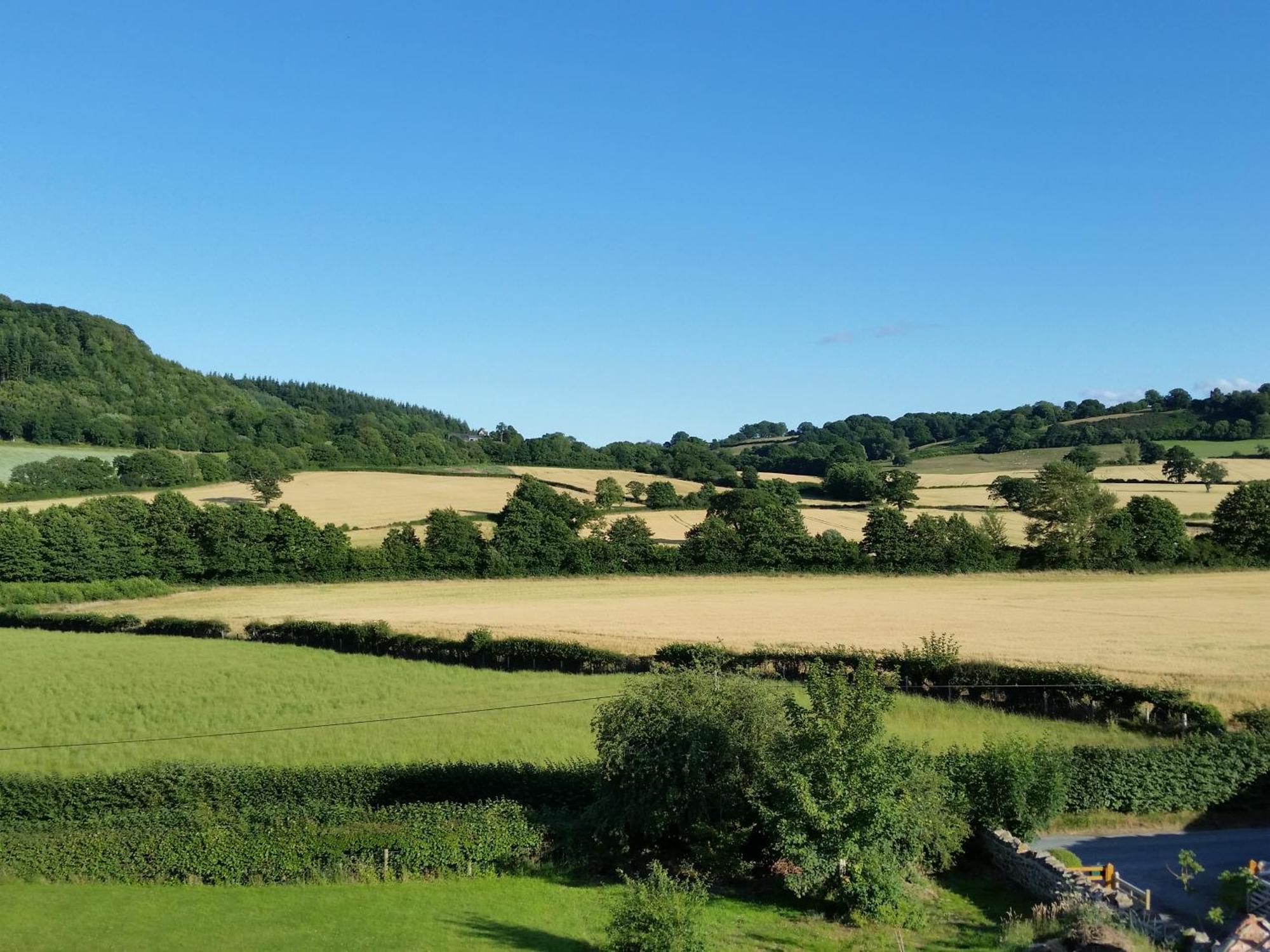 Bed and Breakfast Upper Letton Farm Leintwardine Exteriér fotografie